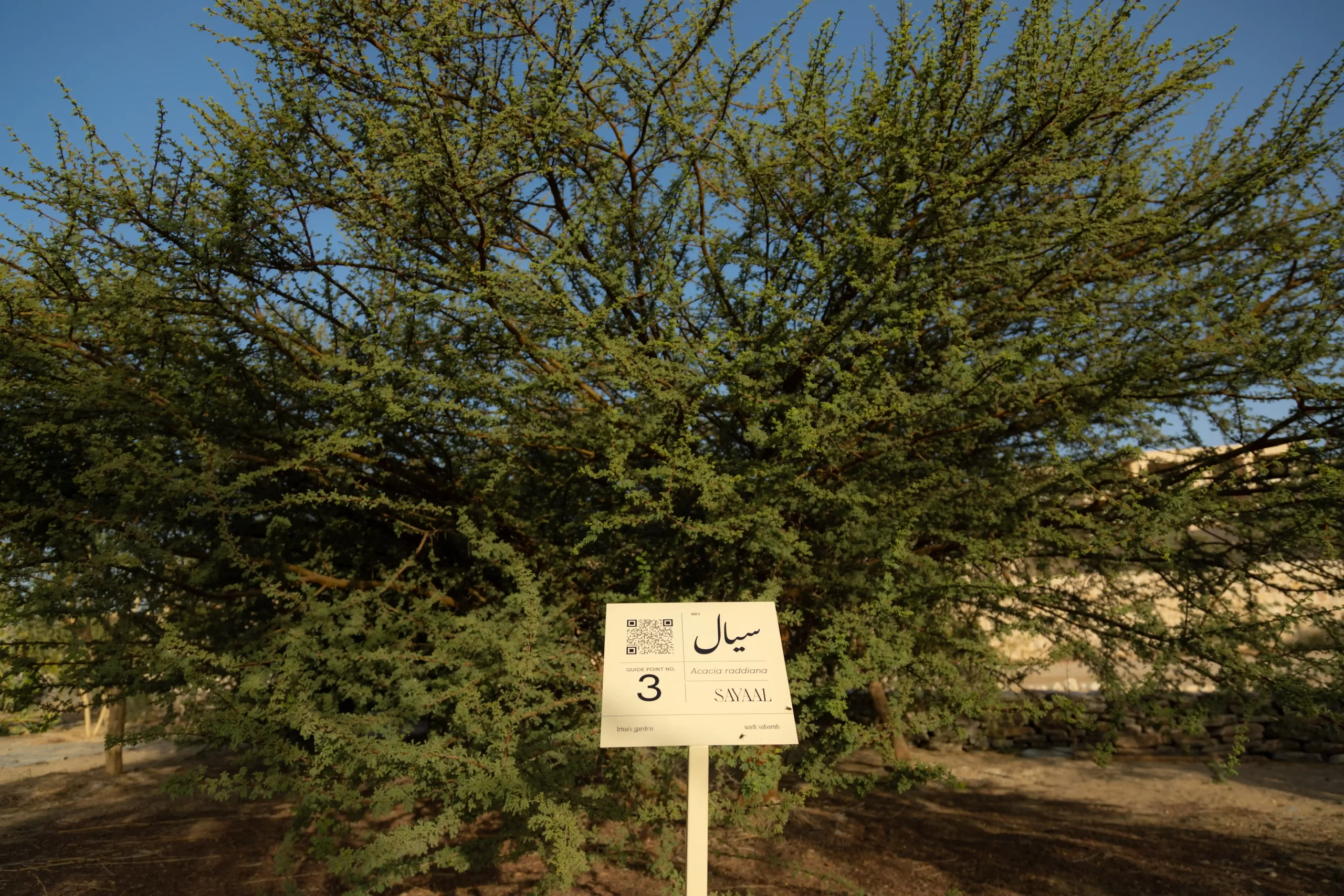 1C9A9583