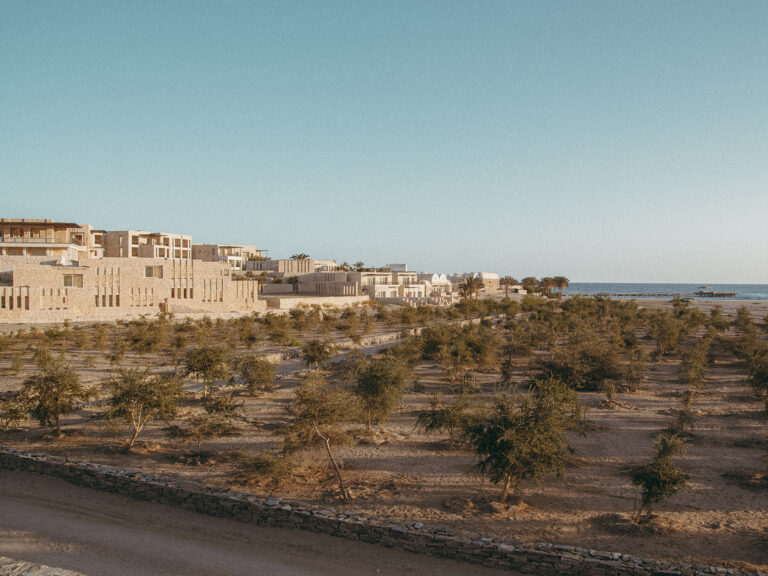 The gardens circa 2019