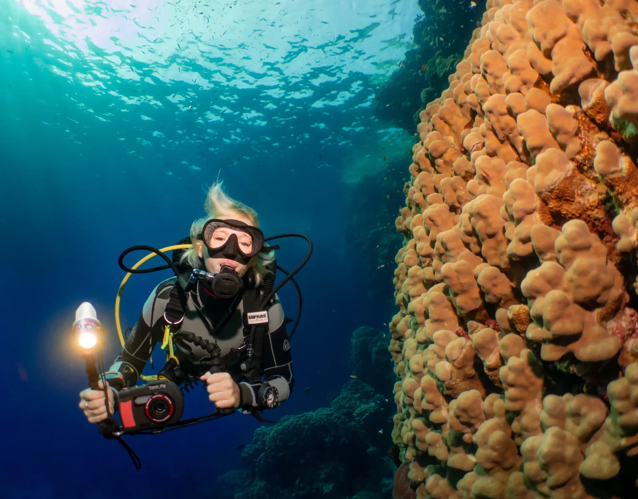 Coral reef + luka