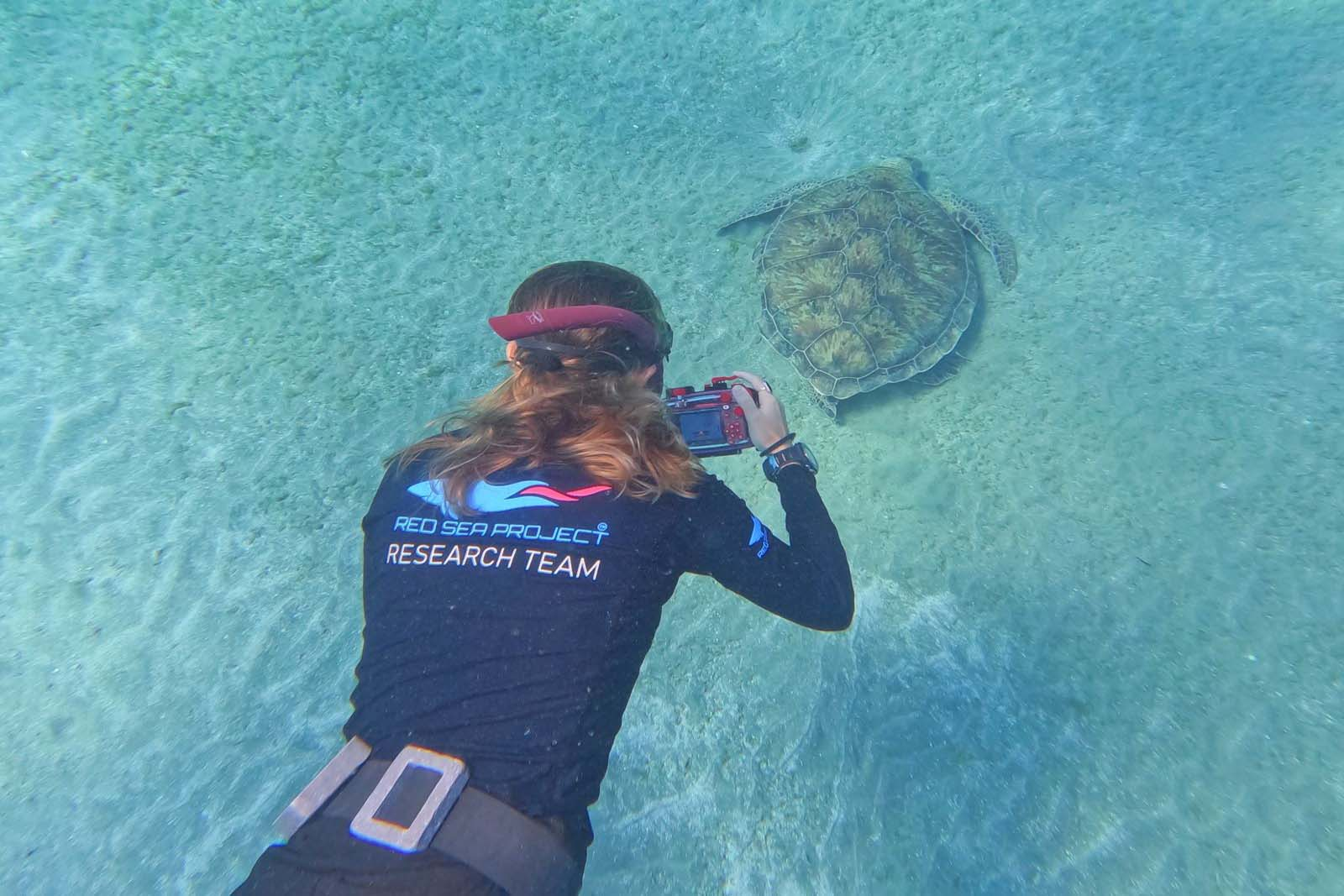 RED SEA PROJECT ECOTOURISM - PADI Education Center - Red Sea - Egypt - Marsa Alam - PADI - Marine Conservation - Snorkeling - Wadi Sabarah Lodge (11)