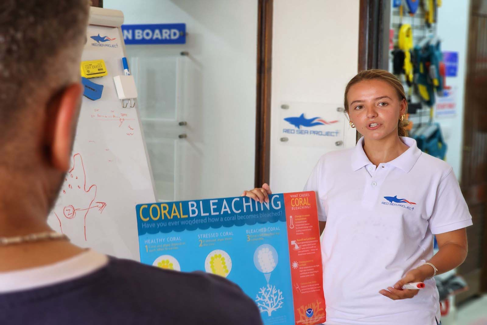 RED SEA PROJECT ECOTOURISM - PADI Education Center - Red Sea - Egypt - Marsa Alam - PADI - Marine Conservation - Snorkeling - Wadi Sabarah Lodge (5)