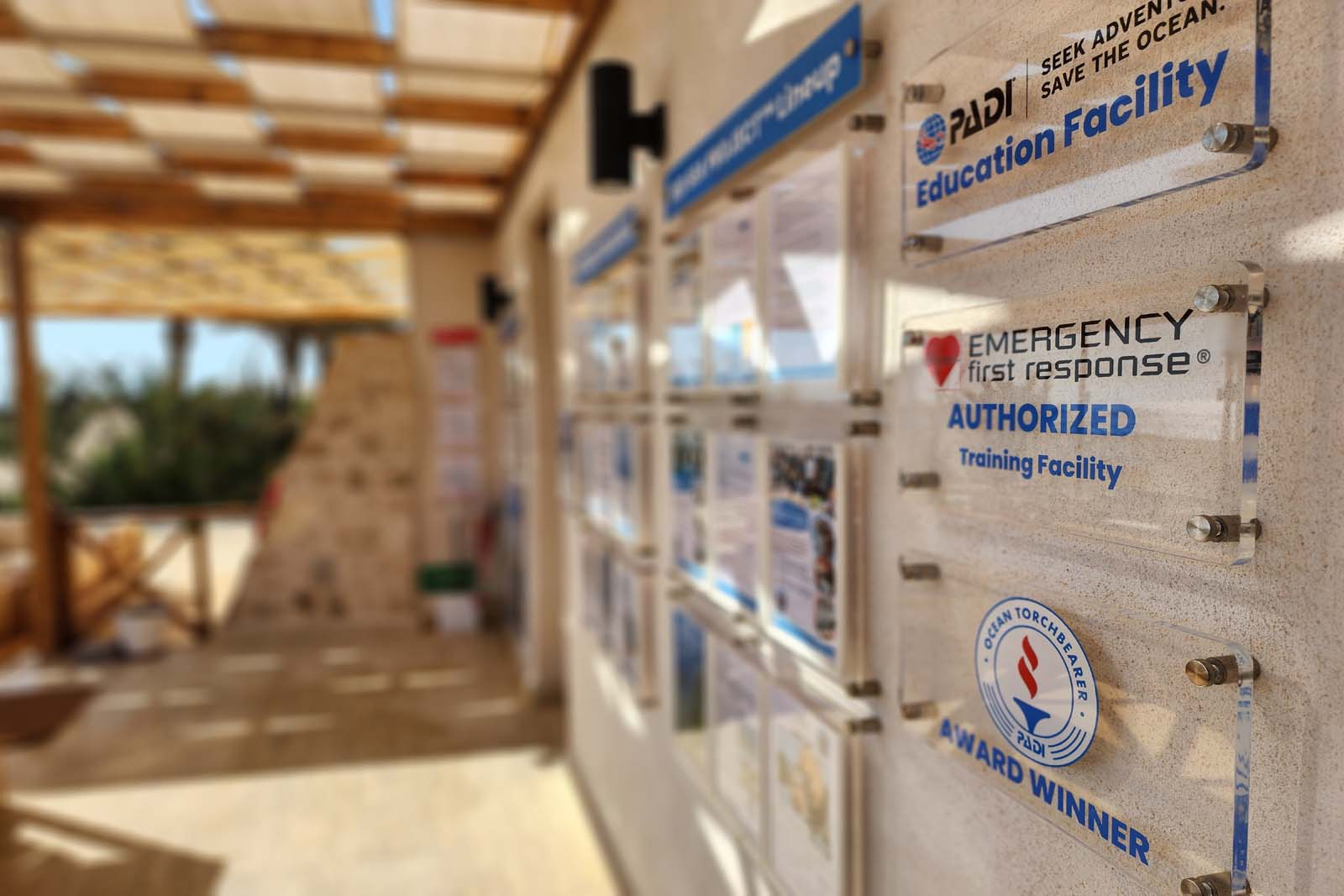 RED SEA PROJECT ECOTOURISM - PADI Education Center - Red Sea - Egypt - Marsa Alam - PADI - Marine Conservation - Snorkeling - Wadi Sabarah Lodge (6)